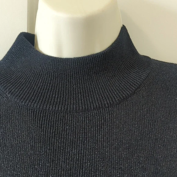 EUC Coldwater Creek Mock Neck Sleeveless Top - Picture 3 of 7